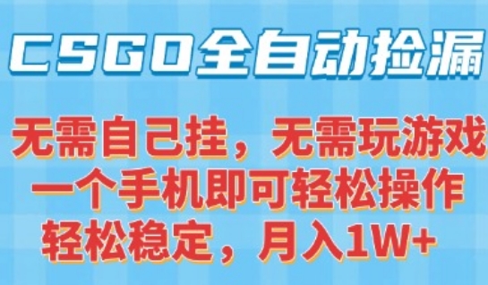 CSGO自动捡漏项目,最新独家玩法,一个手机可操作,新手小白轻松月入1W+,操作简单易上手【揭秘】-第一资源库