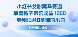 小红书女粉黑马赛道单篇帖子带来收益1k+，特别适合0基础的小白-第一资源库