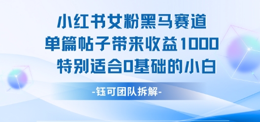 小红书女粉黑马赛道单篇帖子带来收益1k+，特别适合0基础的小白-第一资源库