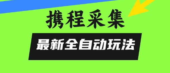 携程信息采集全自动玩法,0风控,无脑开干【揭秘】-第一资源库