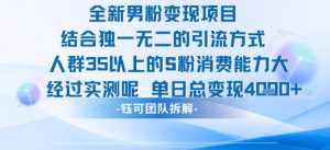 全新男粉变现项目引流人群35以上的男粉消费能力大 经过实测单日变现1k+-第一资源库