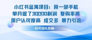 小红书蓝海项目,一部手机单月做了3W利润,小白也能月入过1W用户认可度高成交多-第一资源库
