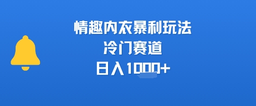 情趣内衣暴利玩法,冷门赛道,日入1k+-第一资源库