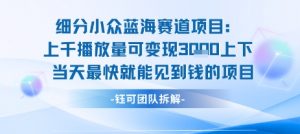 小众蓝海赛道项目:当天变现1k+适合新手操作 +适合长期玩-第一资源库