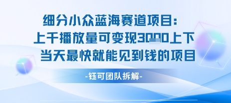 小众蓝海赛道项目:当天变现1k+适合新手操作 +适合长期玩-第一资源库
