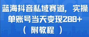 蓝海抖音私域赛道,实操单账号当天变现288+(附教程)-第一资源库