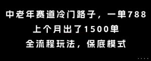 中老年赛道冷门路子,一单788,上个月出了1500单,全流程玩法,保底模式【揭秘】-第一资源库
