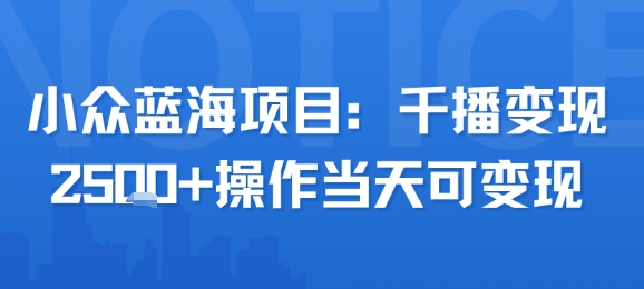 小众蓝海项目,千播变现2.5k+操作当天可变现-第一资源库