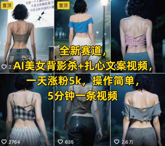 全新赛道，AI美女背影杀+扎心文案视频，一天涨粉5k，操作简单，5分钟一条视频-第一资源库