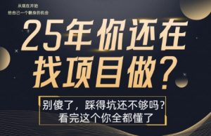 25年,你还在疯狂的找项目吗?别傻了,看完这个你都懂了【揭秘】-第一资源库