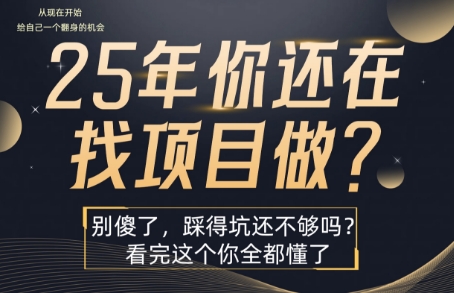25年,你还在疯狂的找项目吗?别傻了,看完这个你都懂了【揭秘】-第一资源库