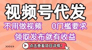 视频号代发,不用剪辑不用做视频,0门槛要求,领取发布就有收益,任务没有无上限,小白轻松上手【揭秘】-第一资源库
