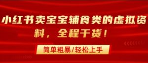 小红书卖宝宝辅食类的虚拟资料,从引流到私域变现,全程干货,简单粗暴,轻松上手-第一资源库