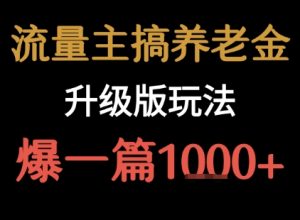 流量主之养老金升级版玩法 爆一篇收益1k+-第一资源库