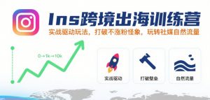 Ins跨境出海训练营,实战驱动玩法,打破不涨粉怪象,玩转社媒自然流量-第一资源库