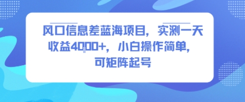 风口信息差蓝海项目,实测一天收益4k+,小白操作简单,可矩阵起号-第一资源库