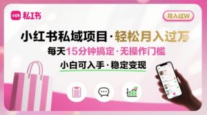小红书私域项目 月入过W非常轻松 每天15分钟即可搞定,无任何操作门槛,小白可入手-第一资源库