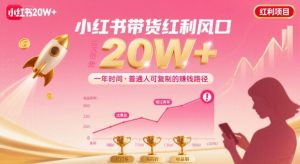 一年时间靠小红书带货项目年入20w+,最不能错的大红利项目-第一资源库