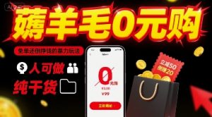 薅羊毛0元购,免单还倒挣钱的暴力玩法,人人可做,纯干货-第一资源库