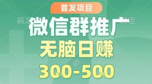 首发项目,微信群推广,一天15单,每单利润10米,无脑日入3-5张【揭秘】-第一资源库