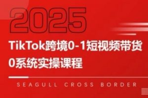 TikTok跨境0-1短视频带货,系统拆解TikTok跨境带货全链路,实现跨境可持续盈利-第一资源库