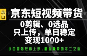 你出账号,我来运营,保底日入1k+,开启躺賺模式【揭秘】-第一资源库