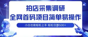 拍店采集调研，全网首码项目，简单易操作， 小白也能轻松上手，多账号操作，轻松日入5张【揭秘】-第一资源库