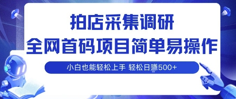 拍店采集调研，全网首码项目，简单易操作， 小白也能轻松上手，多账号操作，轻松日入5张【揭秘】-第一资源库