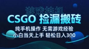 8月最新游戏搬砖,CSGO纯挂G,不需要玩游戏,实现真挂G,月入1W+【揭秘】-第一资源库