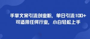 手掌文案引流创业粉,单日引流100+,可适用任何行业,小白轻松上手-第一资源库