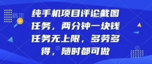 纯手机项目评论截图任务,两分钟一块钱多劳多得,随时随地都能做【揭秘】-第一资源库