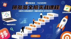 拼多多全阶实战课程,从新手小白到运营高手,海量实战玩法+全年实时更新【2025年9月更新】-第一资源库