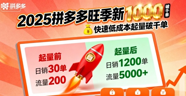 2025拼多多旺季新老店铺——快速低成本起量破千单-第一资源库