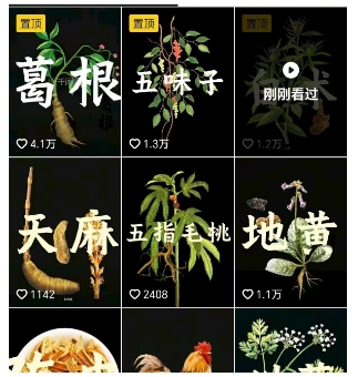 抖音中草药赛道,用AI做中草药故事视频,45条作品涨粉13W,橱窗带货猛猛出单-第一资源库