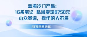 蓝海项目:16条笔记私域变现9750米小众赛道操作的人不多-第一资源库