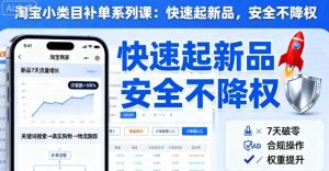 淘宝小类目补单系列课，快速起新品，安全不降权-第一资源库