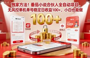 独家方法!番茄小说合伙人全自动挂G项目,无风控单机单号稳定日收益100+,小白也能做【揭秘】-第一资源库