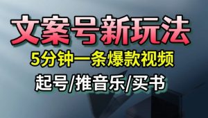 文案号新玩法,5分钟一条爆款视频,流量高,起号快,多方位变现-第一资源库