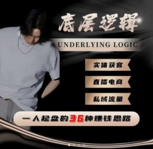 一个人起盘的底层逻辑，私域流量-直播电商-实体获客，一人起盘的36种賺钱思路-第一资源库