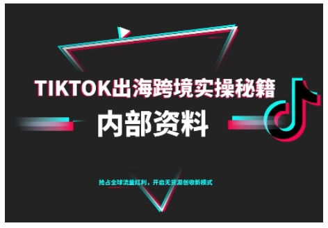 TikTok跨境电商0-1搭建运营,TK出海跨境实操秘籍(10月更新)-第一资源库