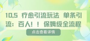 疗愈引流玩法，单条引流百人，保姆级全流程-第一资源库