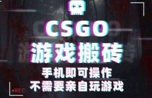CSGO游戏挂G捡漏,单日扫货5张+,年底小高峰上车可吃肉,手机即可操作,兼职副业创业网创【揭秘】-第一资源库