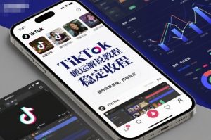 TikTok搬运解说教程，稳定收益，操作简单易懂，批量可做，持续稳定-第一资源库