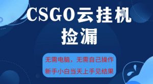 CSGO云挂G全自动捡漏,最新独家玩法,无需电脑操作,新手小白日入5张+【揭秘】-第一资源库