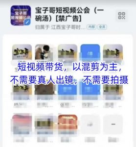 宝子哥头部团队短视频带货，以混剪为主，不需要真人出镜，不需要拍摄【更新11月】-第一资源库