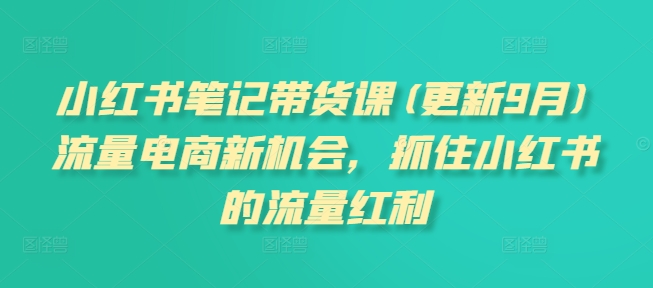 小红书笔记带货课(更新25年12月)流量电商新机会,抓住小红书的流量红利-第一资源库