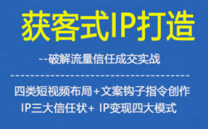 获客型IP打造,破解流量信任成,四类短视频布局+文案钩子指令创作IP三大信任状+IP变现四大模式-第一资源库