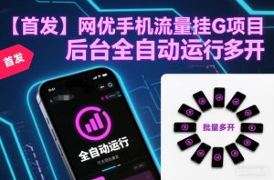 【首发】网优手机流量挂G项目,后台全自动运行,可无限批量多开【揭秘】-第一资源库