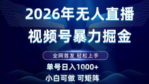 2026最新视频号无人直播掘金,全网首发,小白可以玩,长期稳定日入1k+【揭秘】-第一资源库