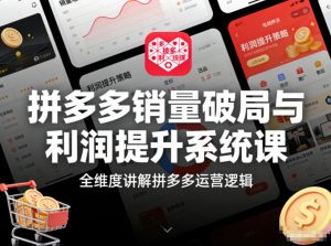 拼多多销量破局与利润提升系统课,全维度讲解拼多多运营逻辑-第一资源库